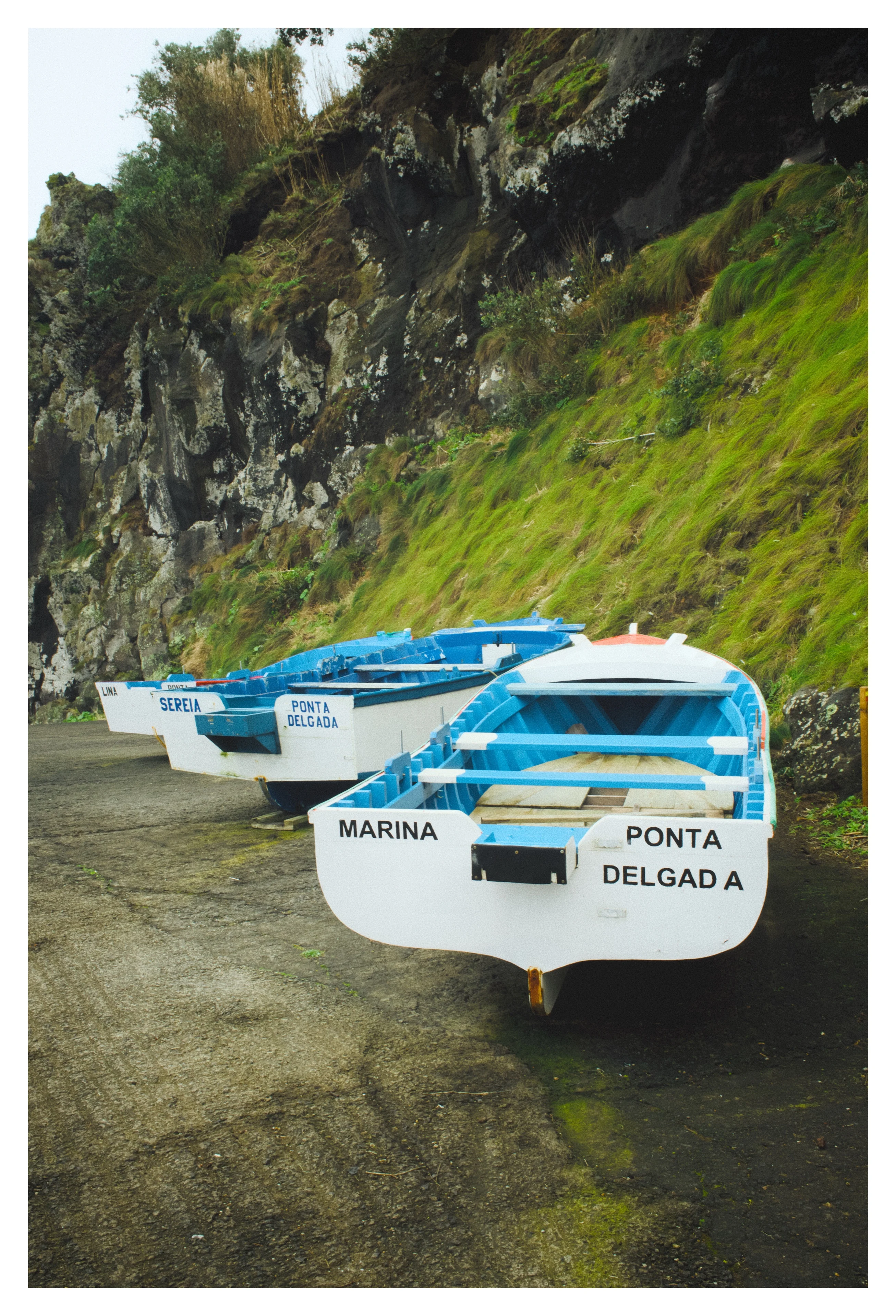 Ponta Delgada's finest, hauled up and unbothered.
