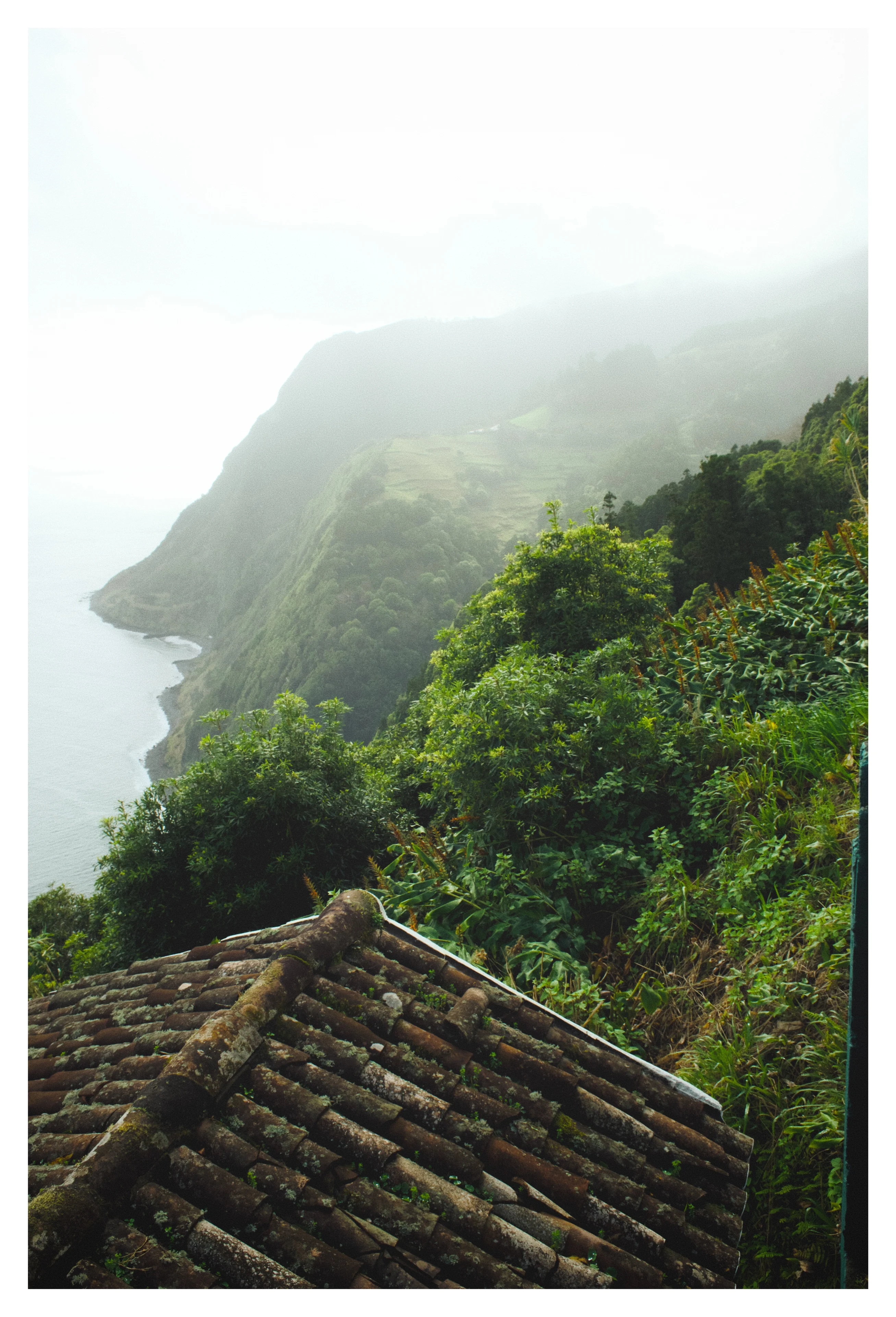 Somewhere beyond the murk, a very good view.