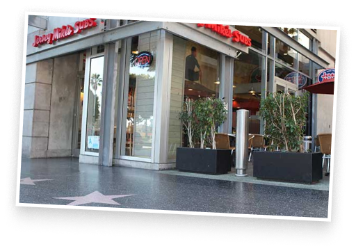 Why fast casual and the sandwich segment?