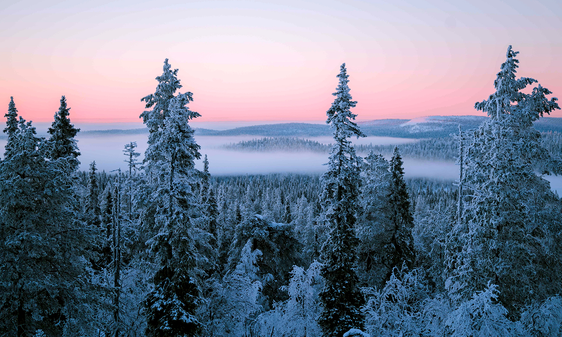 Matka Lapin Rauhaan - K-ryhmä