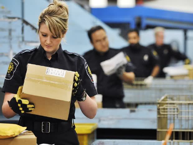 Customs officer inspecting package