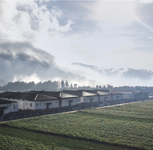 A series of industrial buildings lined up next to expansive green fields.