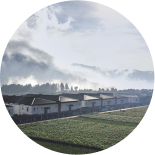 A circular image showing a landscape with a row of modern buildings in the foreground.