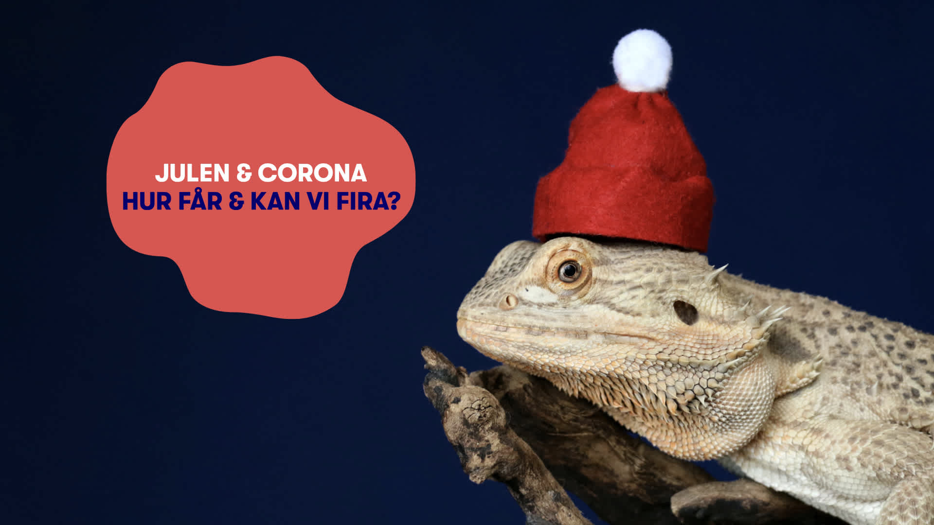 Så kan du fira en Coronasäker jul 