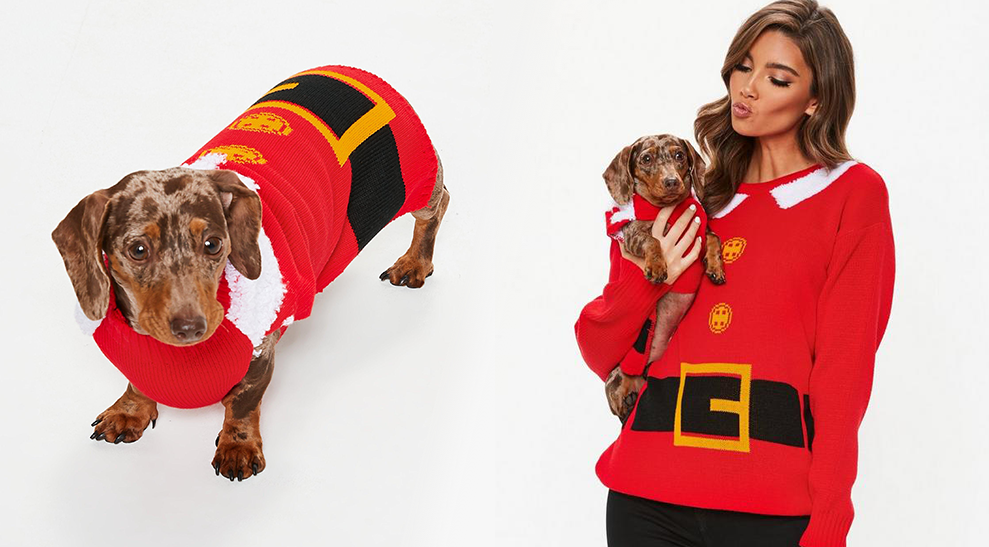 christmas jumper with dog
