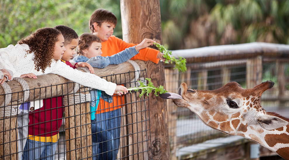 Chester Zoo Is Hiring Someone To Teach People About Animals TOTUM