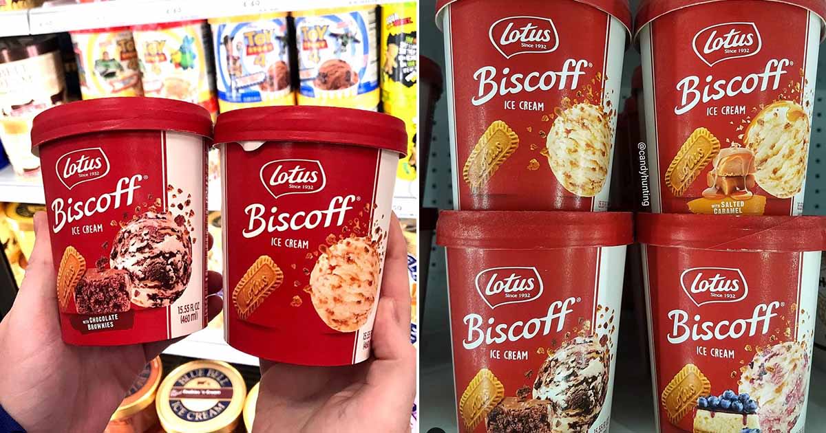 Tubs Of Lotus Biscoff Ice Cream Now Exist TOTUM