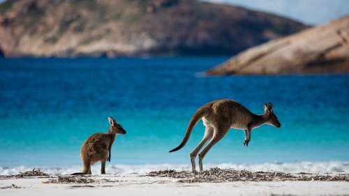 VISIT WESTERN AUSTRALIA WITH STUDENT CLUB