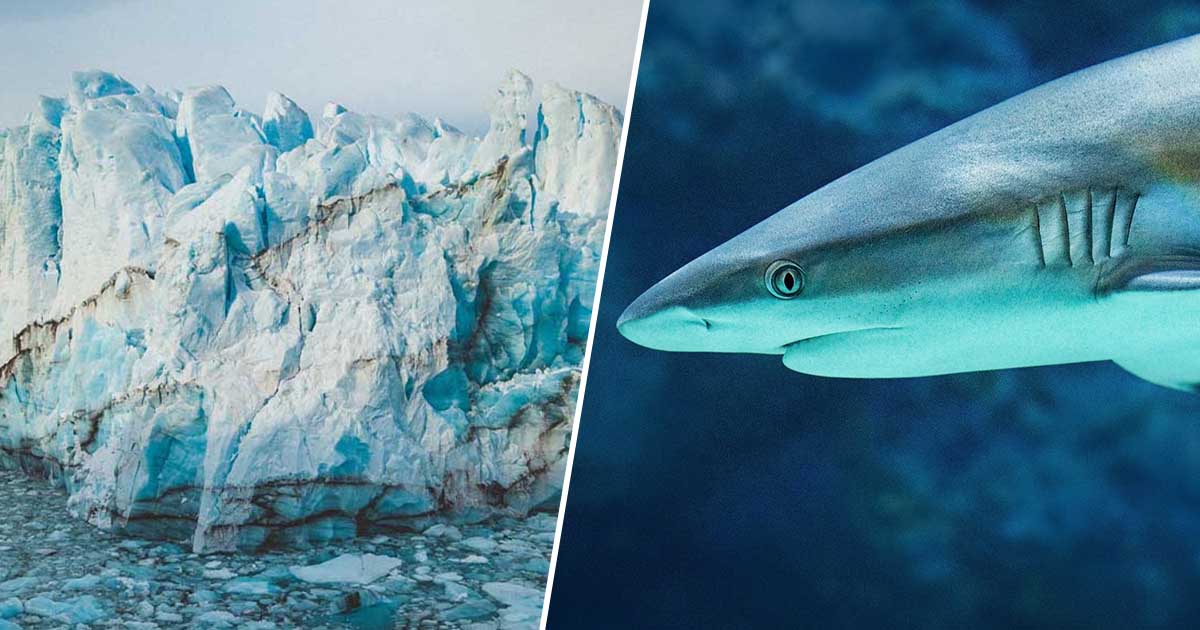 OxygenOceansFacebookThumb