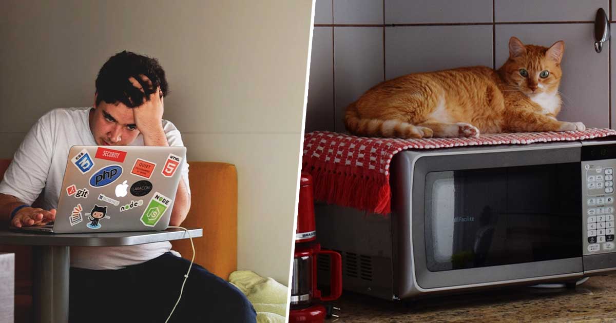 Apparently Using Your Microwave Can Slow Down Your WiFi TOTUM