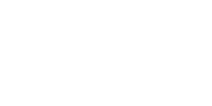 Boots Logo White