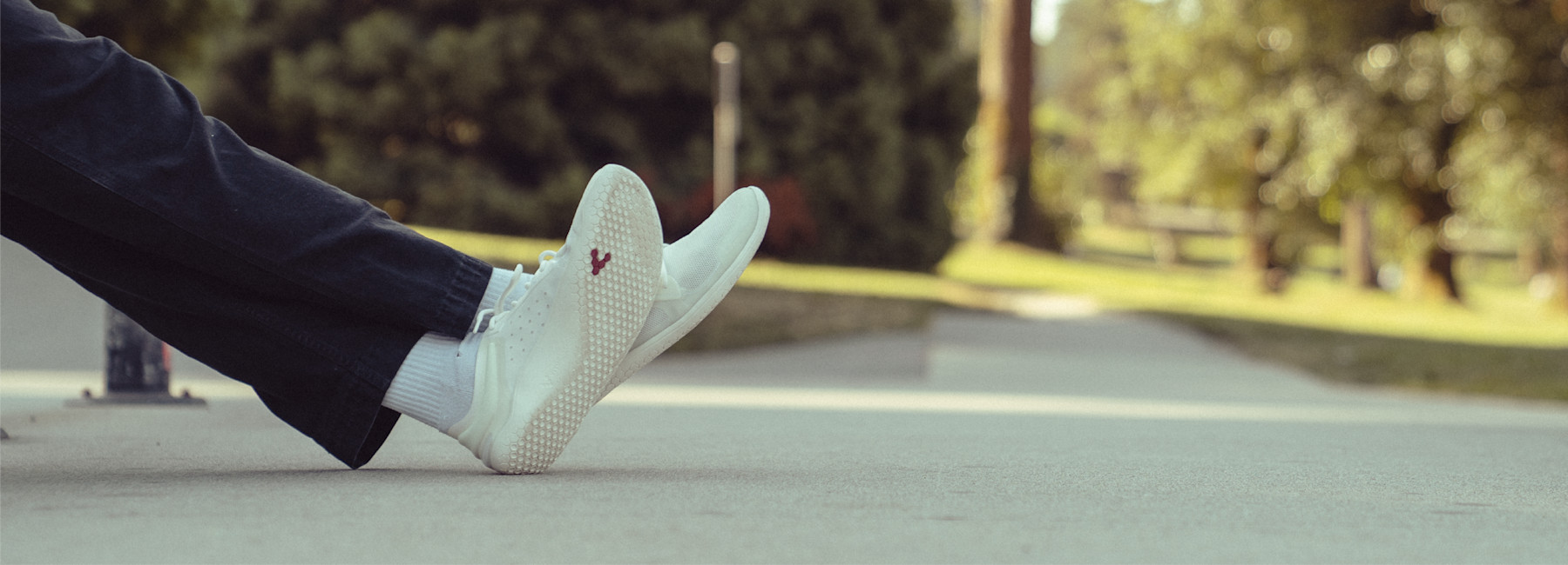 shop header