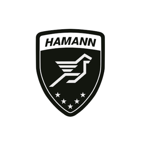 Hamann logo