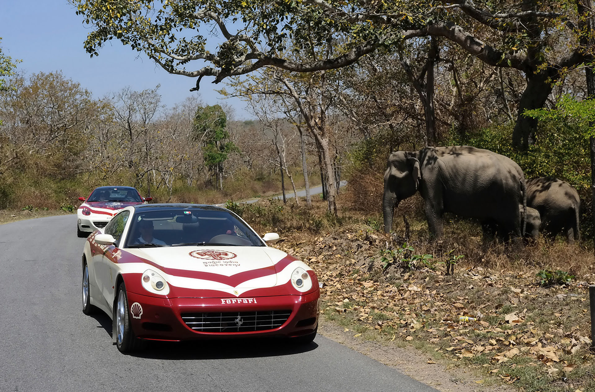 Magic India Discovery: How Ferrari revealed an immense and mysterious country to the world