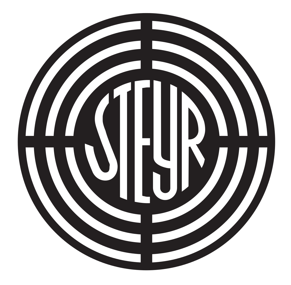 Steyr logo image