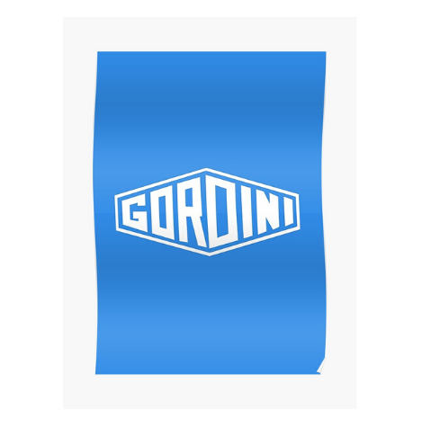 Gordini logo image