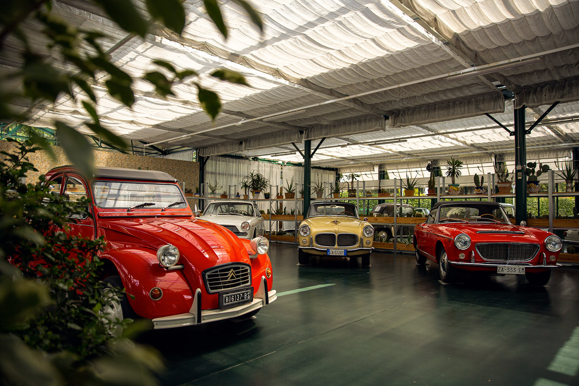 The Next Generation of Classic Car Collectors