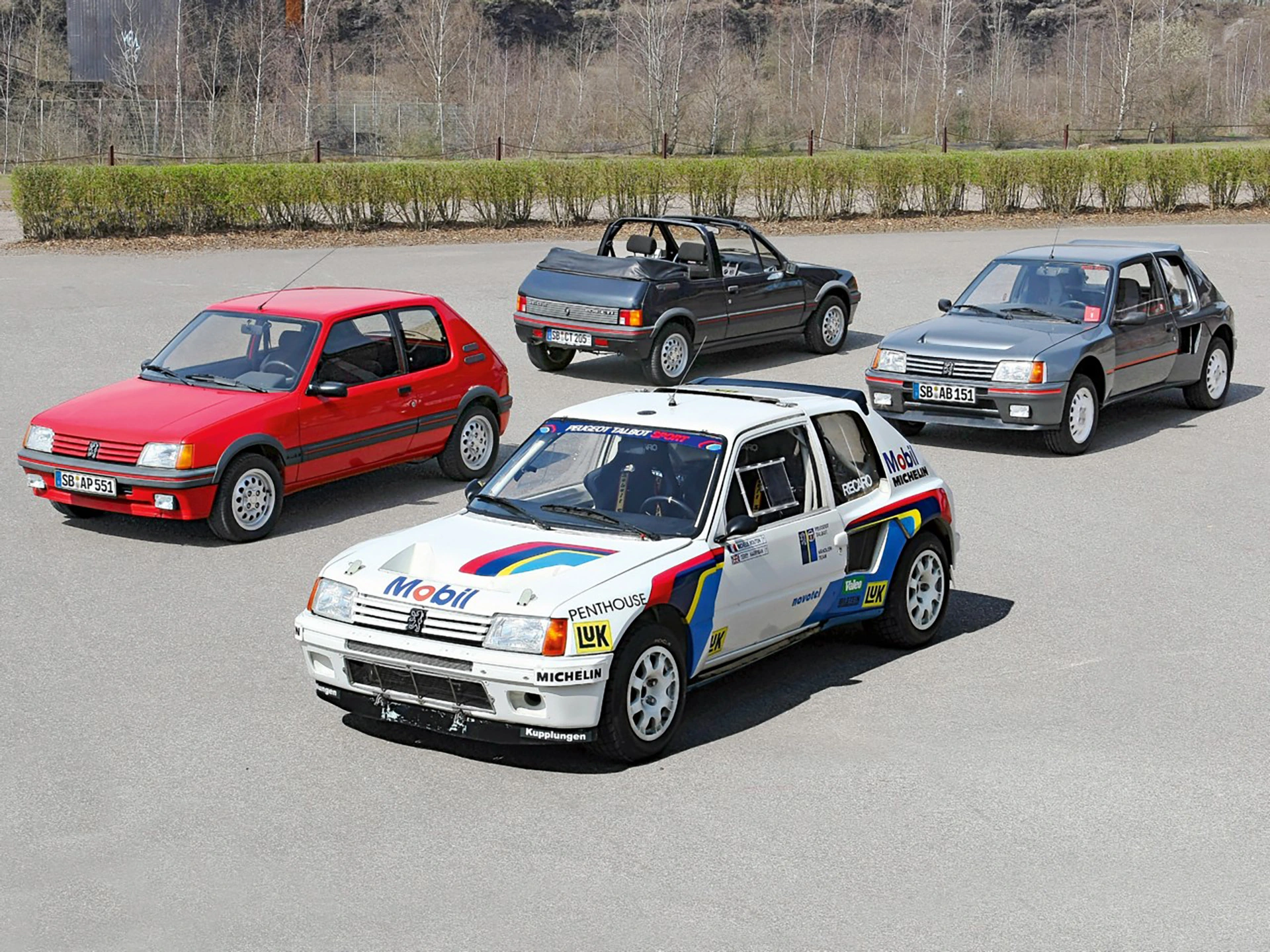 Noble Sisters: Peugeot 205 image