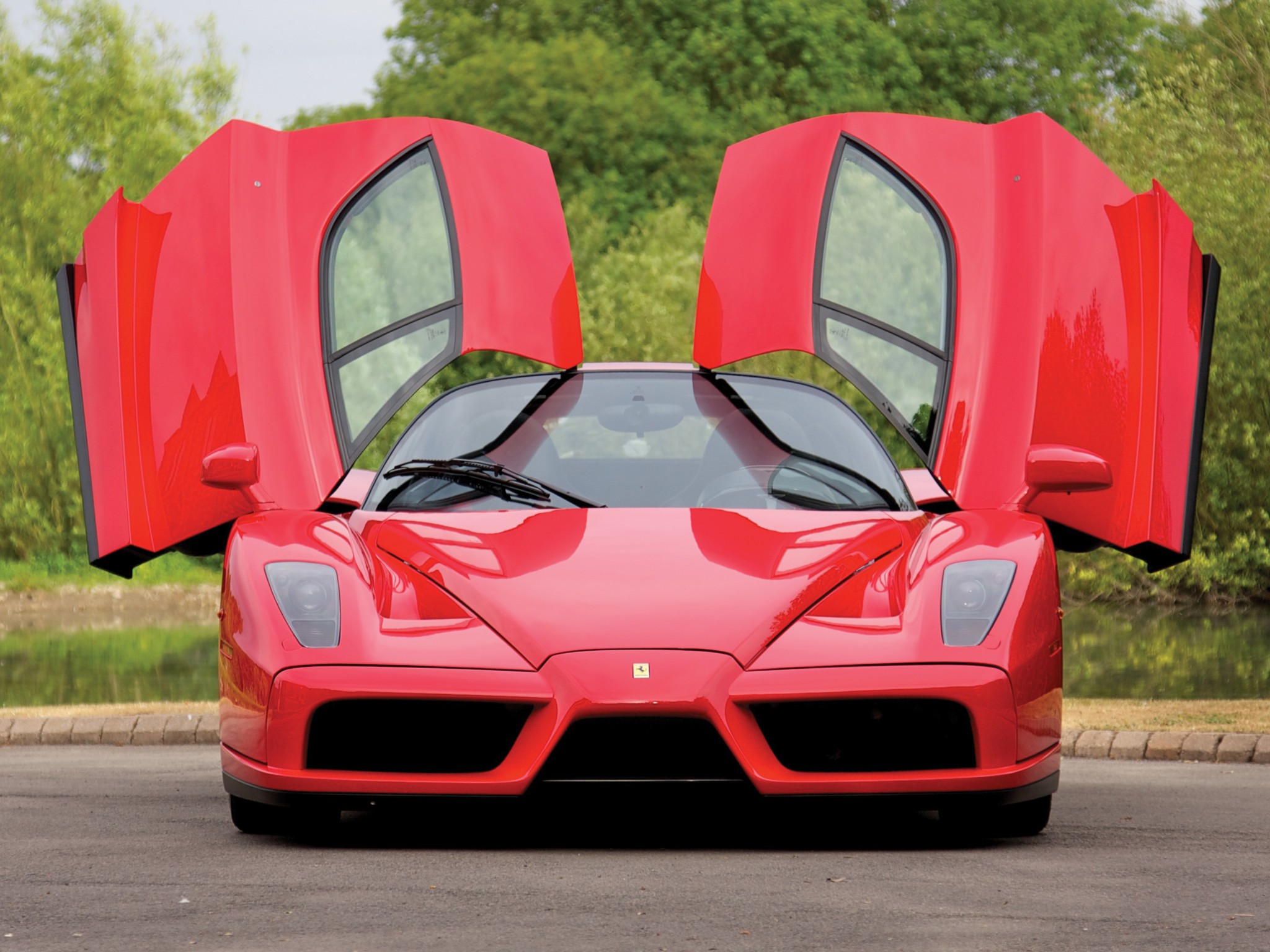 ferrari enzo 24