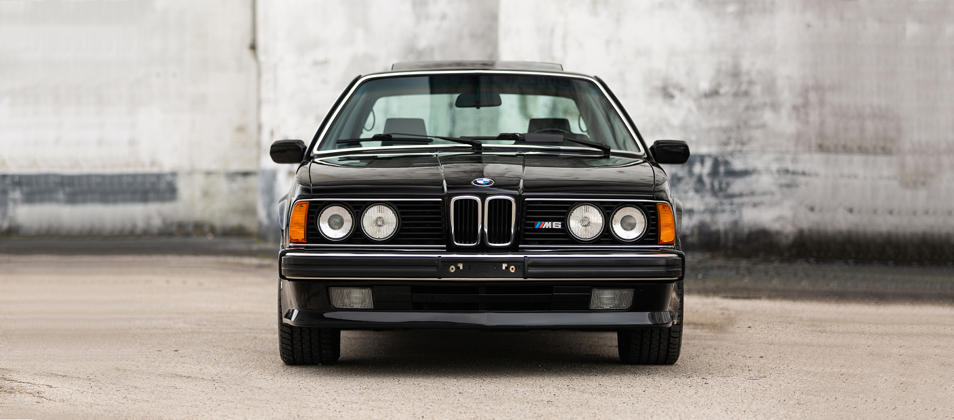 Beautiful and affordable. 1988 BMW M6
