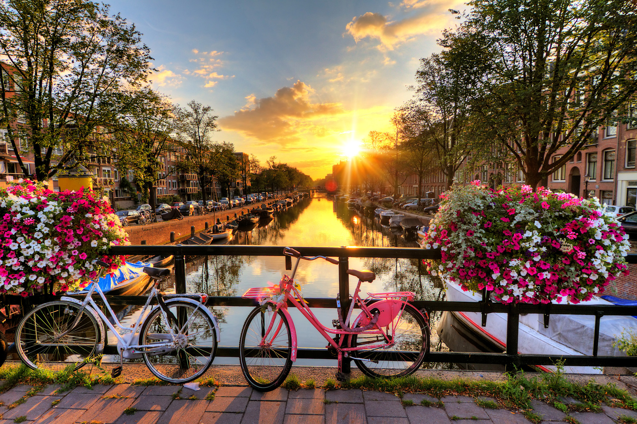 Amsterdam Travel Destination Guide Banner