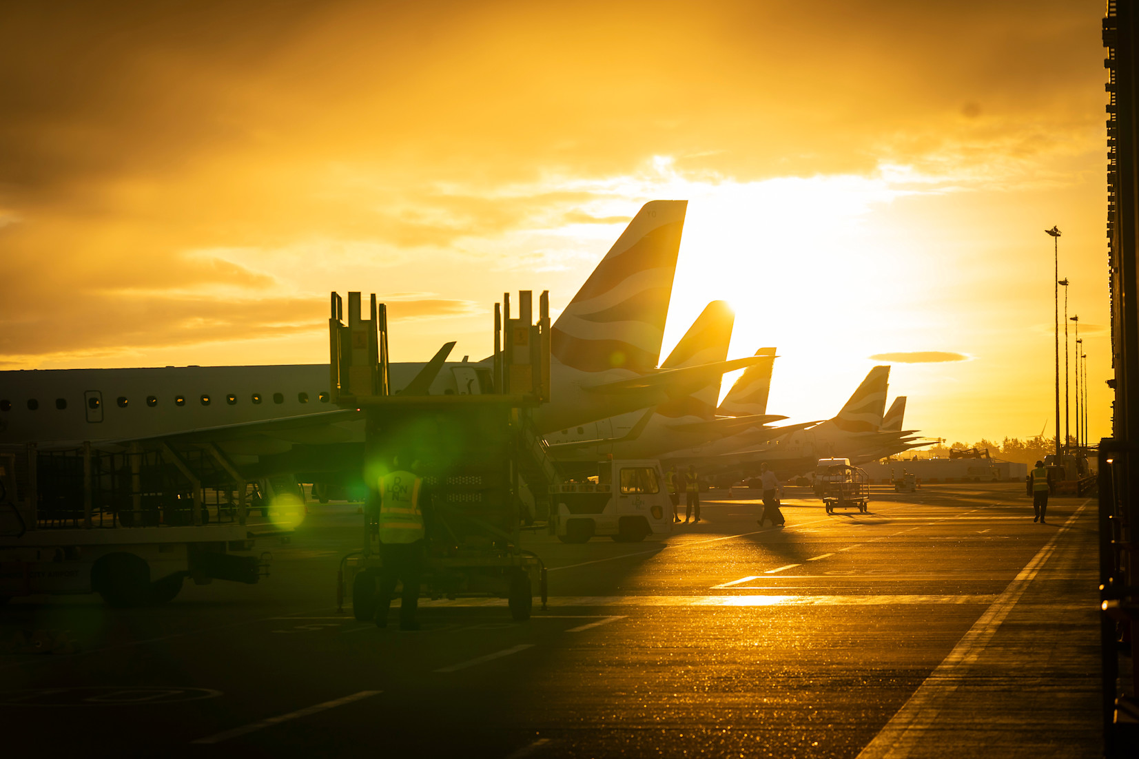 Plane tails at sunset