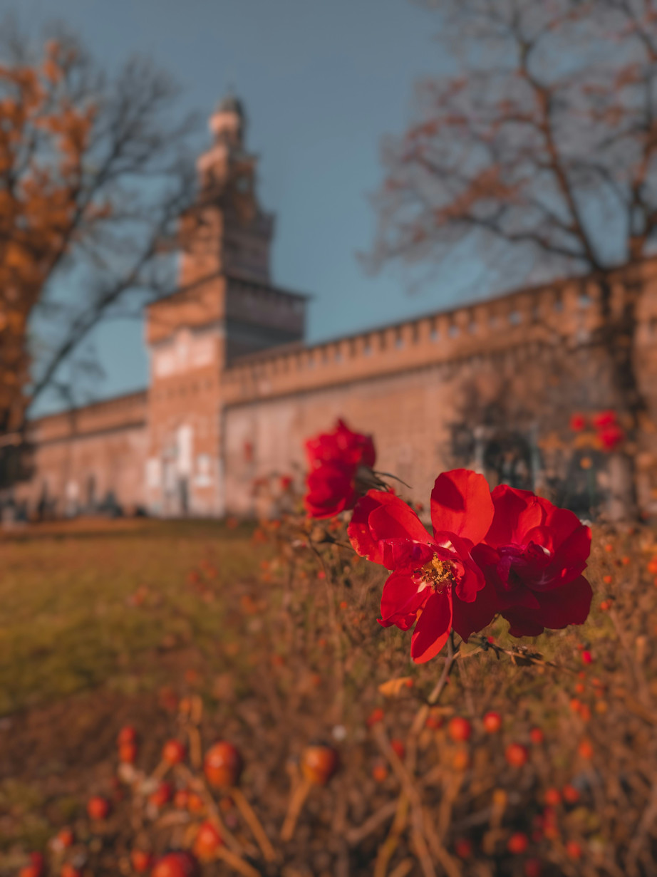 Castello Sforzesco 