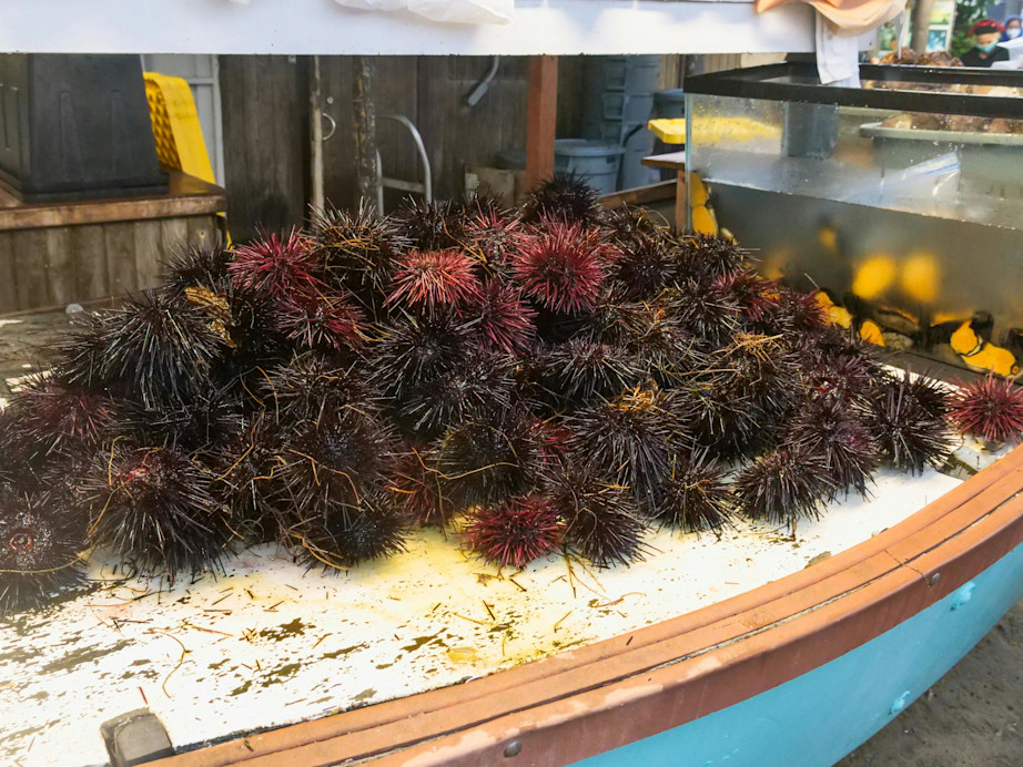Sardinia seafood