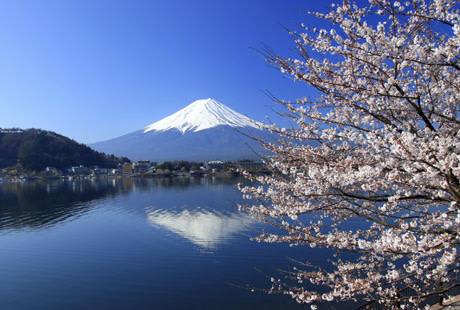 A mount Fuji in Tokyo, Japan 