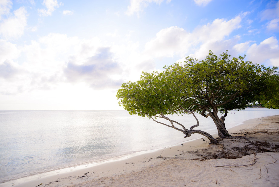 Beach in Aruba