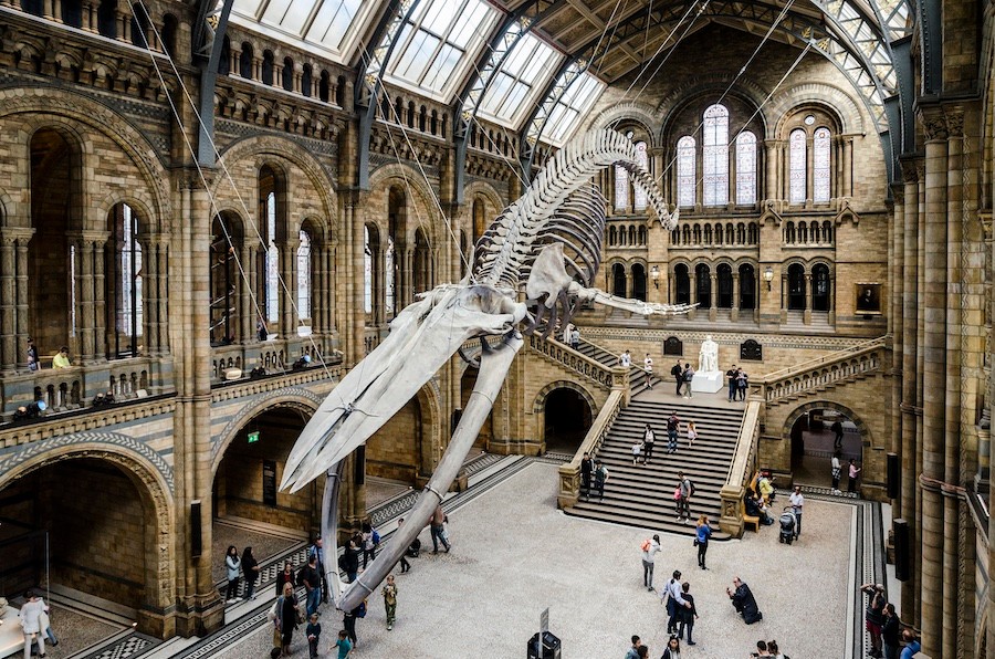 London National History Museum