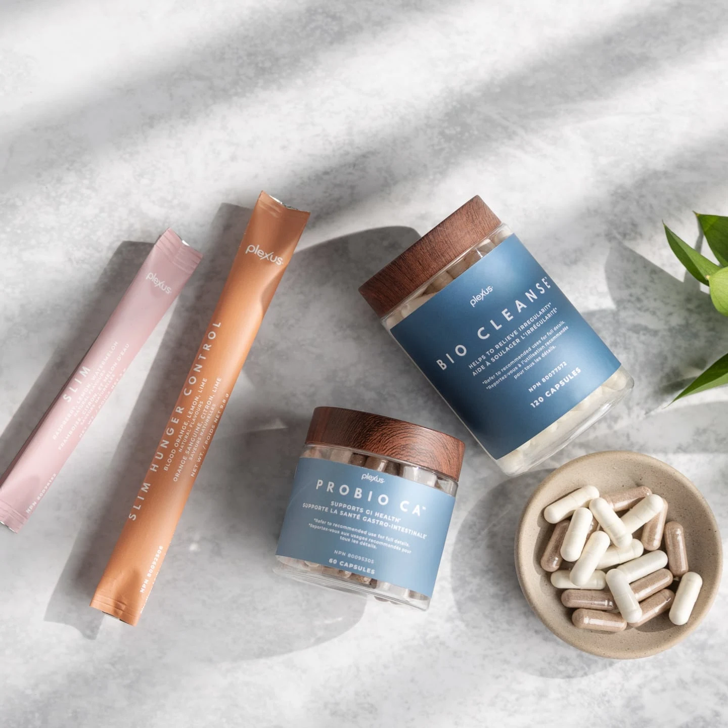 Founded in gut health. Experts in microbiome. | Plexus Worldwide®
