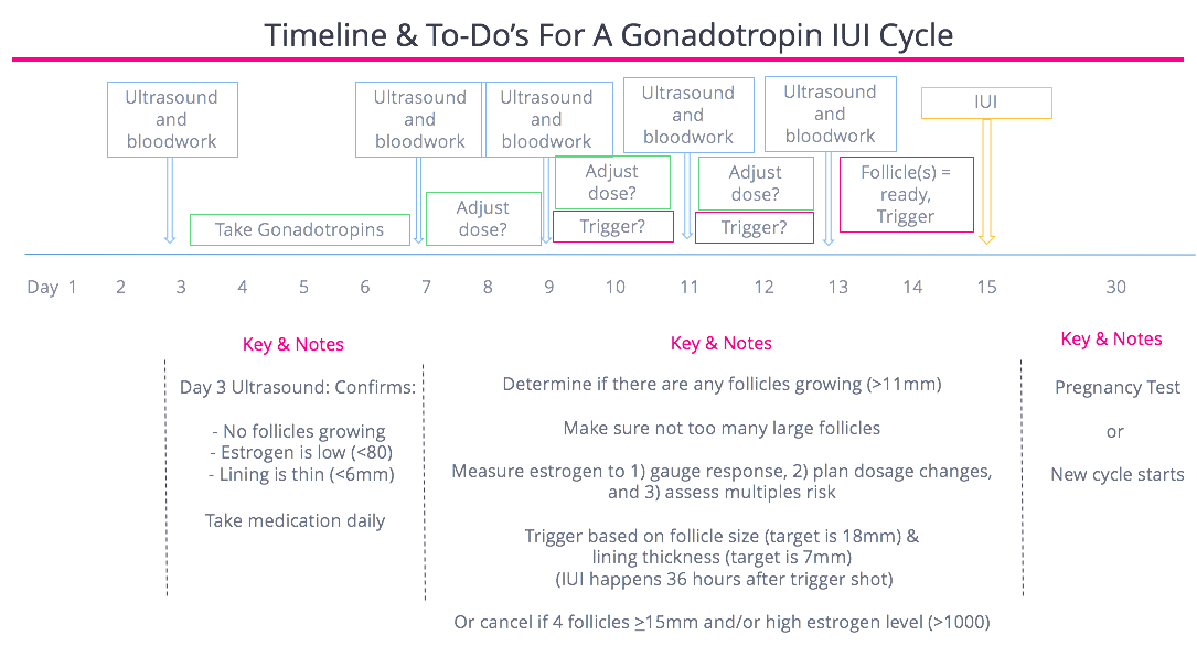 Timeline Gonadotropin IUI