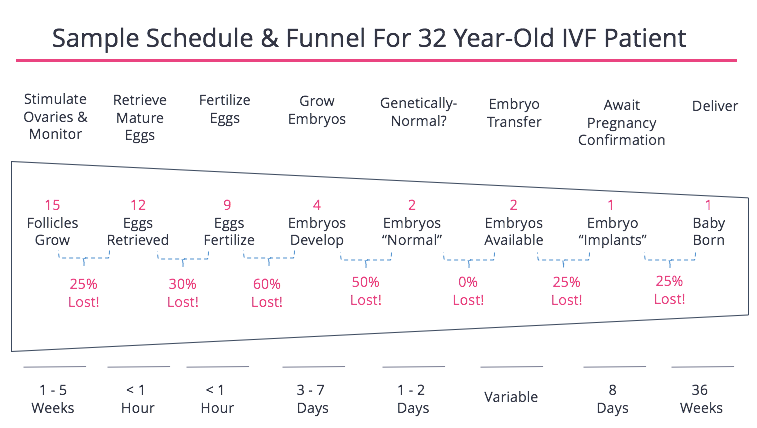 Beta Chart After Ivf