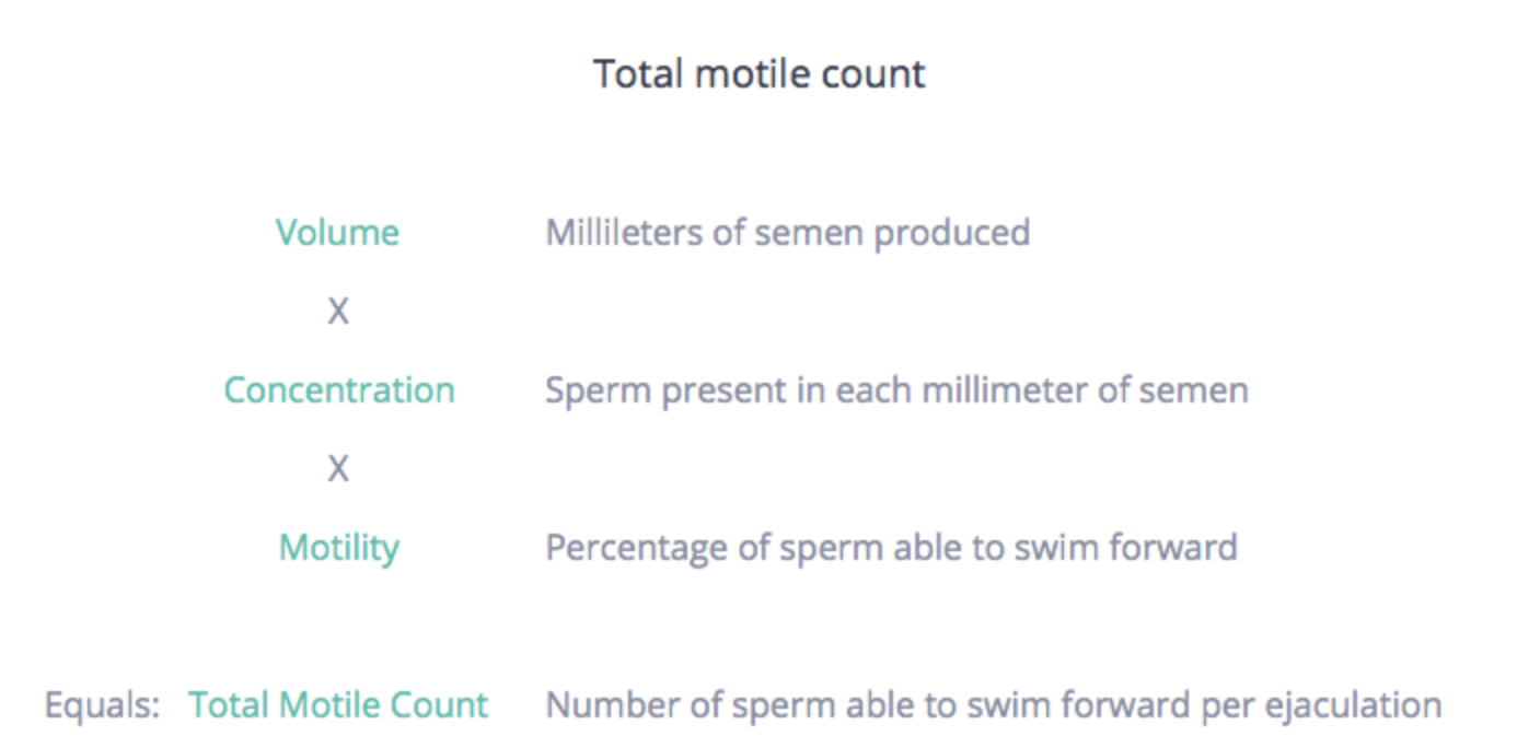 Total Motile Count