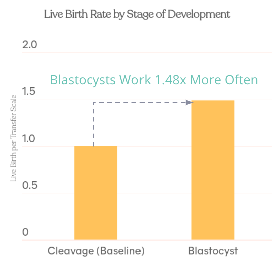 Live Birth Rate by Stage of Development (cleavage vs blastocyst)