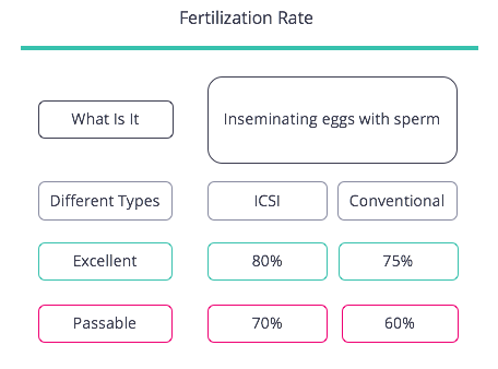 Fertilization