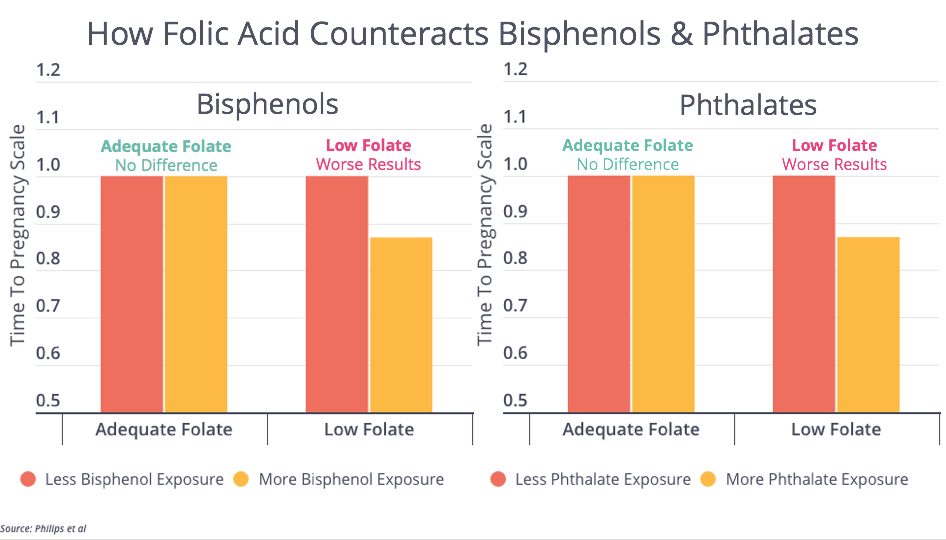 BPA Phthalates and Folic Acid