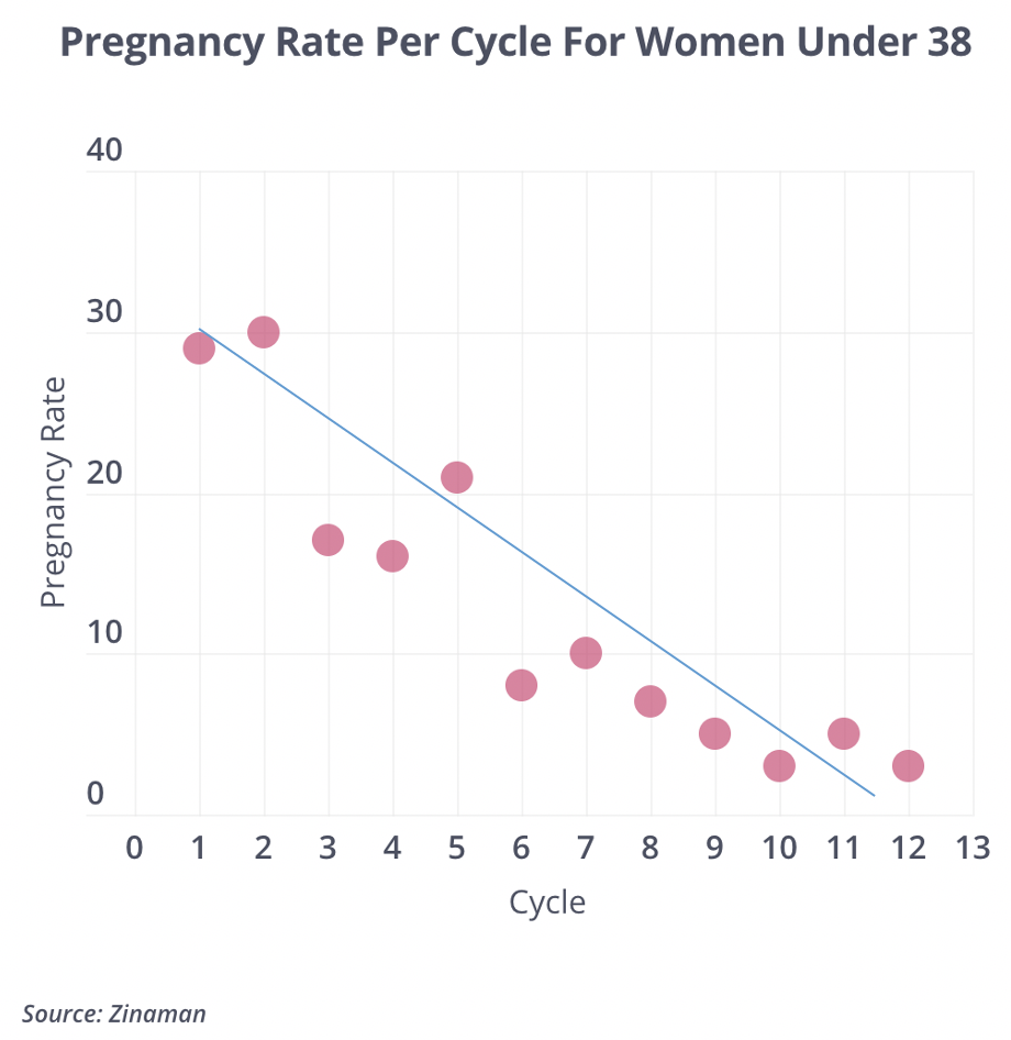 Pregnancy By Month