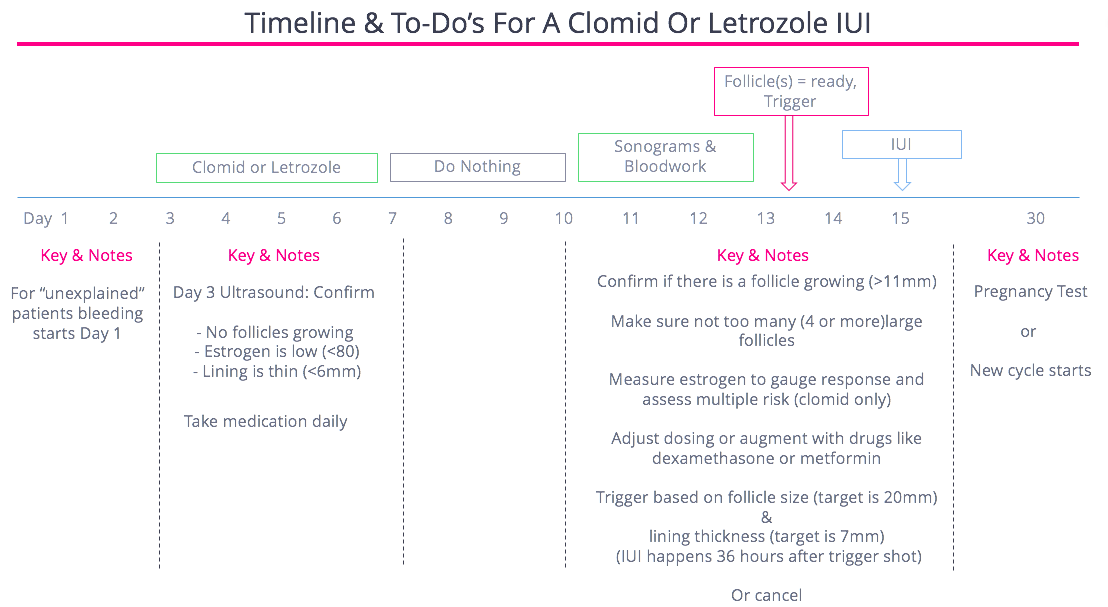 FertilityIQ The Logistics of IUI