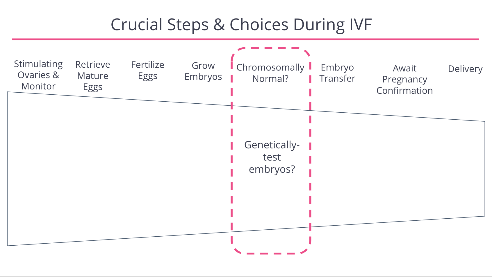 Crucial Steps & Choices During IVF (Gentically Test?)