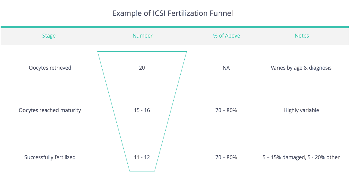 ICSI Fertilization Funnel