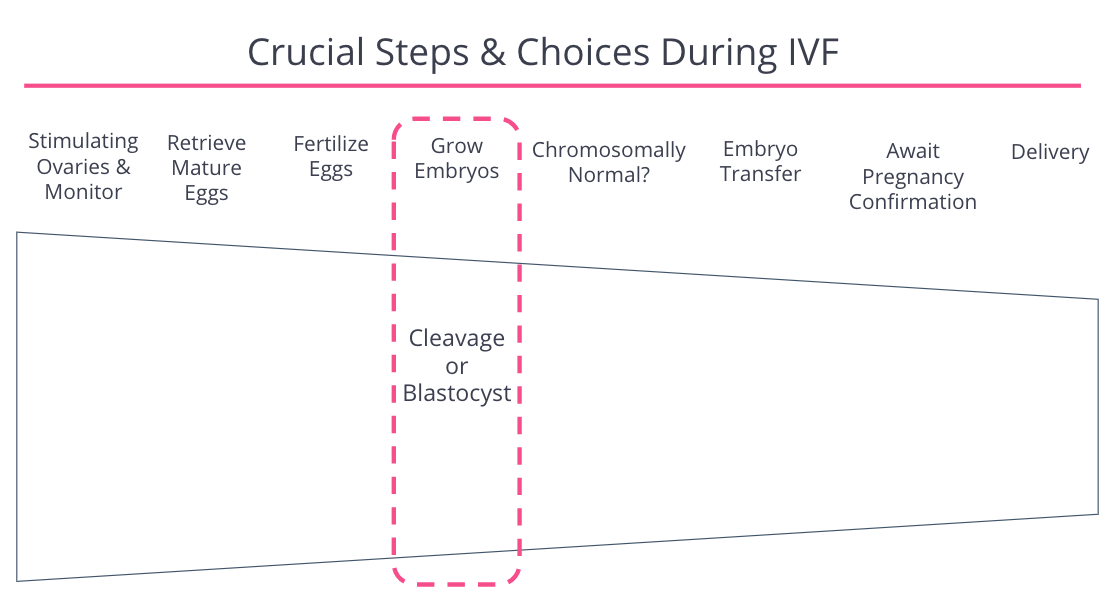 Growing Embryos to Blastocyst Stage