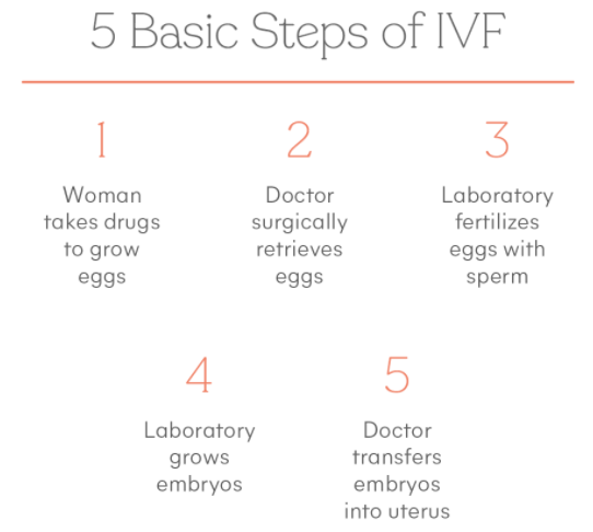 5 IVF Steps