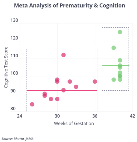 Prematurity and Cognition