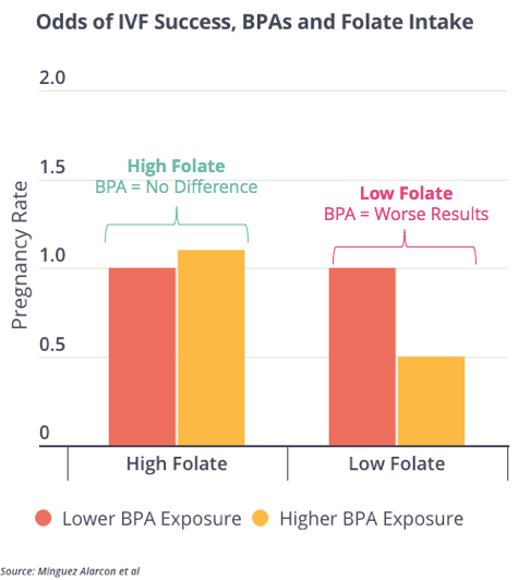 BPA Phthalates Folic Acid and IVF