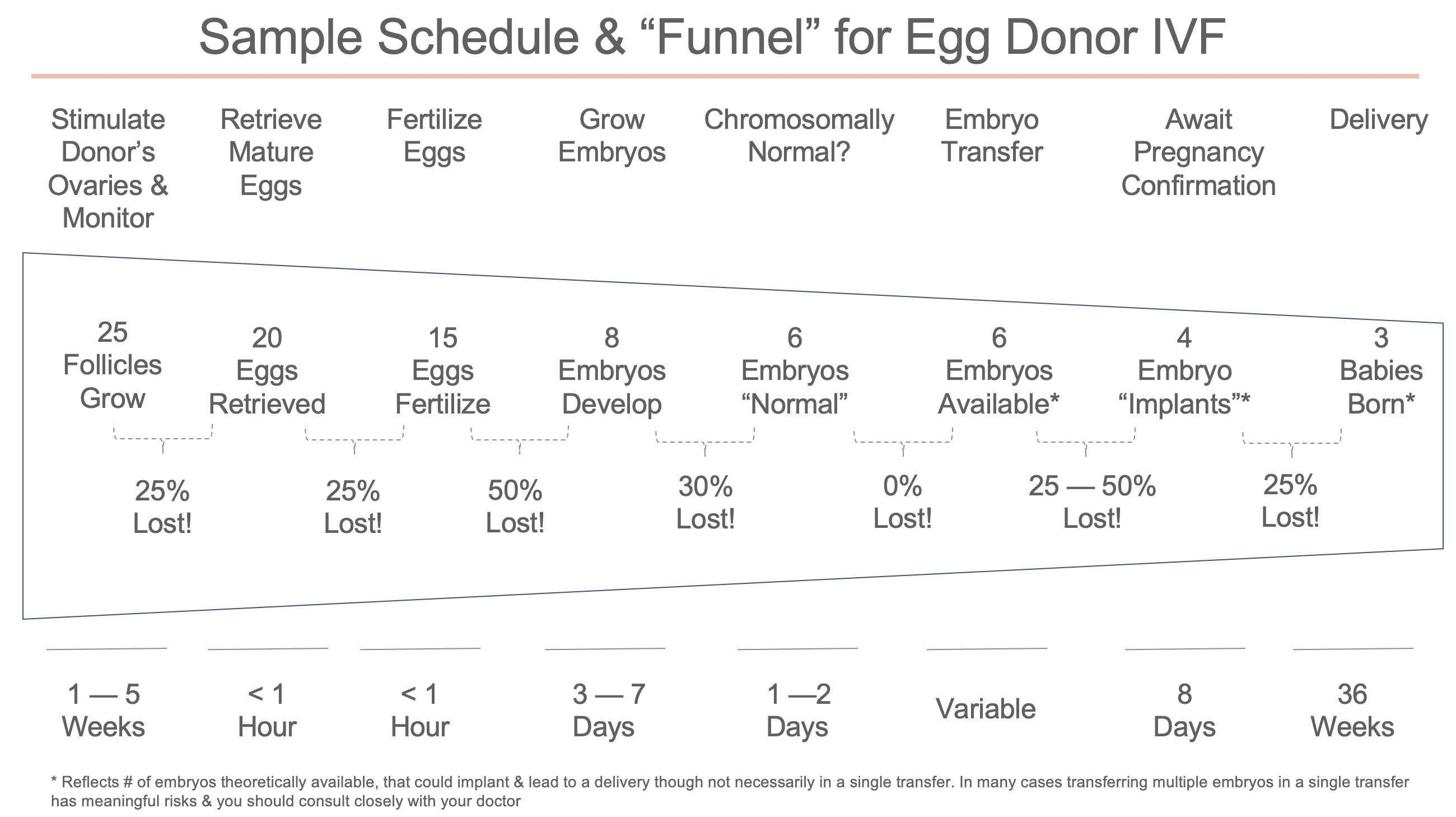 Ivf Treatment Idiosyncrasies Alongside Donor Egg Fertilityiq