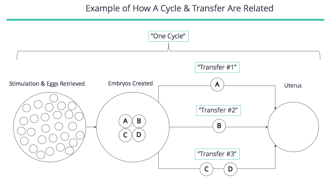 How Many Embryos to Transfer? - FertilityIQ