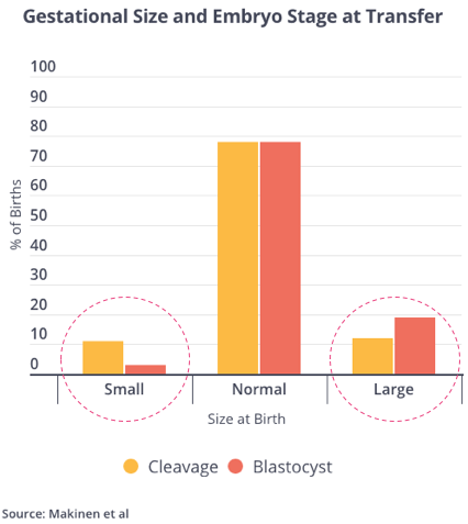 Gestational Size