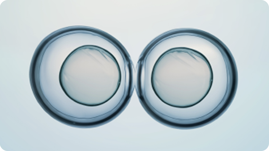 What does inheritance mean?